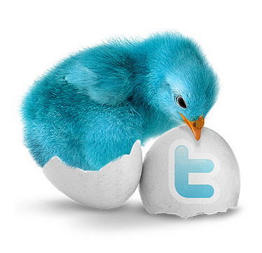 twitter-chick-egg.png
